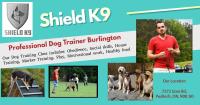 Shield K9 Dog Training image 2